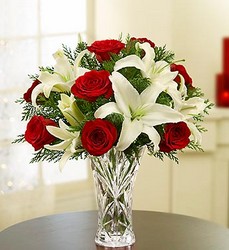 Waterford Crystal at Christmas Davenport Florist - Same Day Flower Delivery - Flower Power 